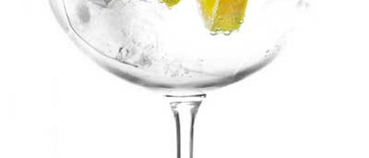 Gin Tonic Cocktail1